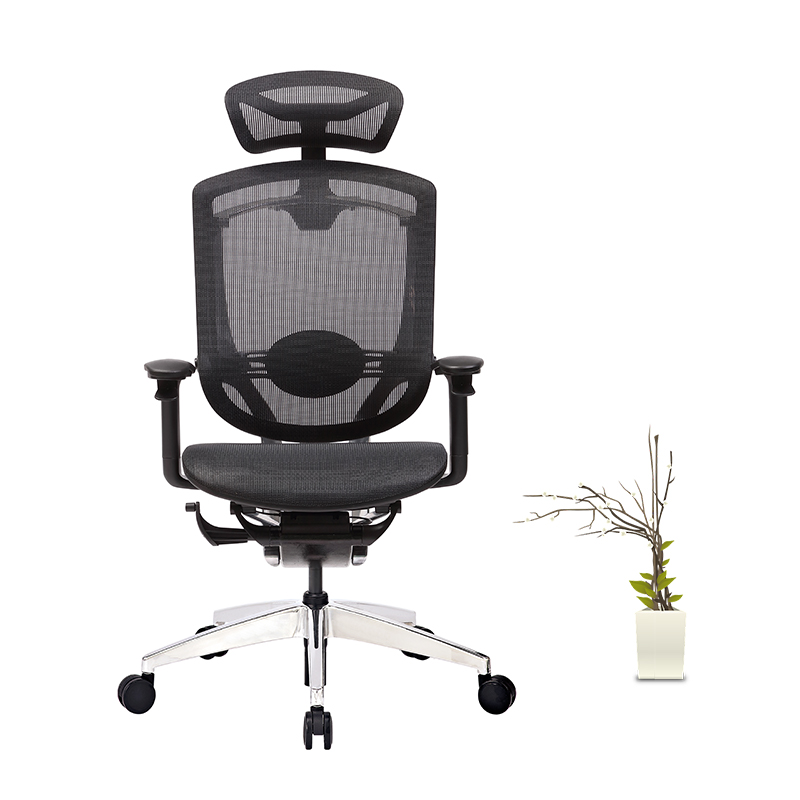 Fashion Ergonomic Mesh Office Chair